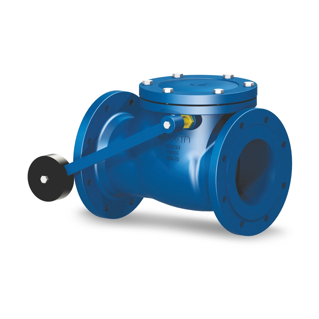 Swing Check Valve